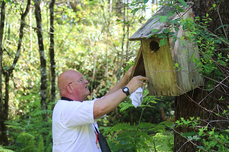 Mark works on a nesting box on his property.