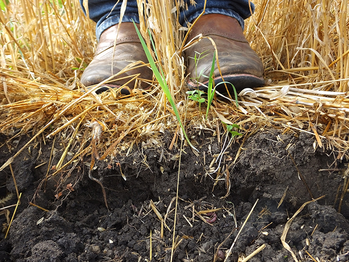 No matter your interests or operation, you can use WSS in the way that’s impactful for you and your working land.