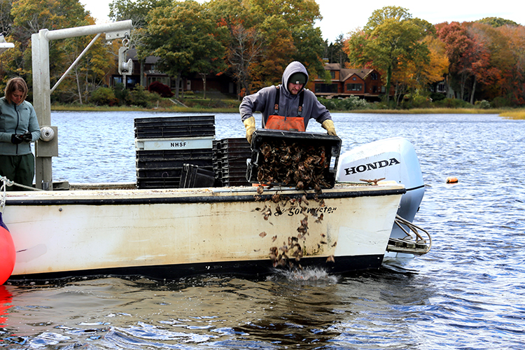 A man dumps oyster shell from a boat.