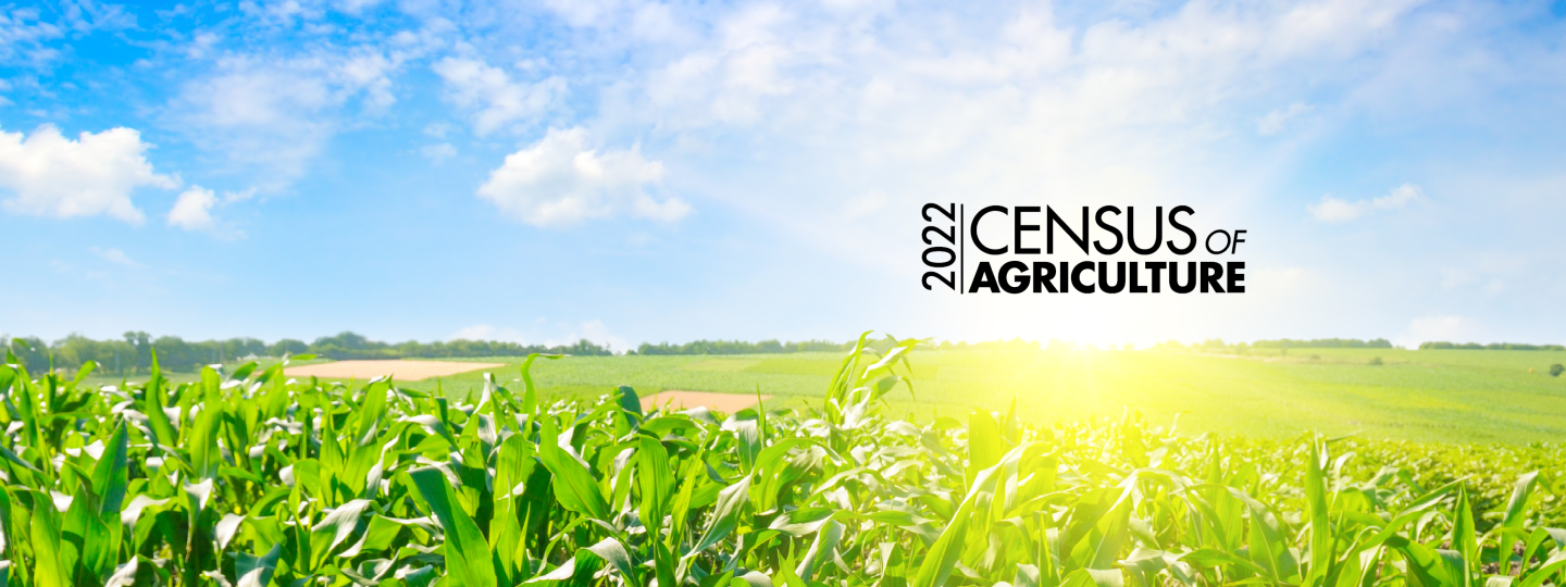 sunny field agcensus banner background