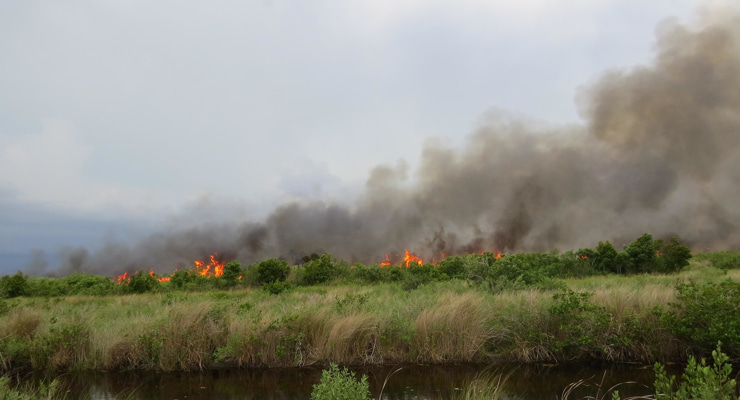 "Photo of a wildfire"