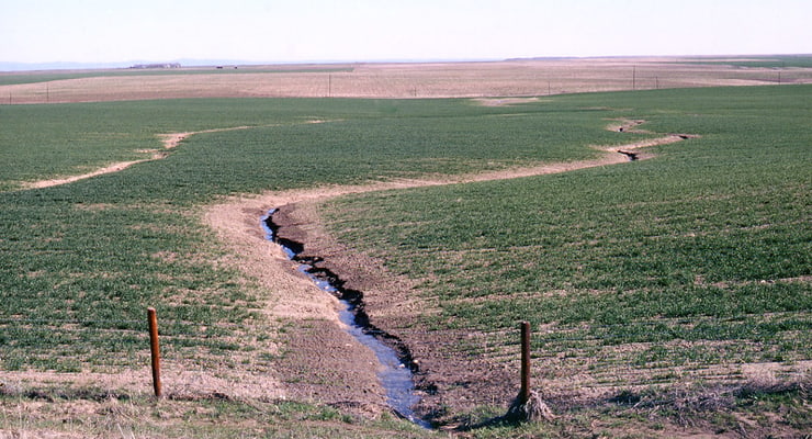 "A small, narrow ephemeral gully cuts across farm land"