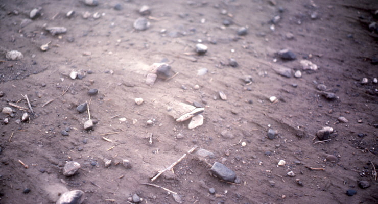 "A close-up photo of wind erosion"