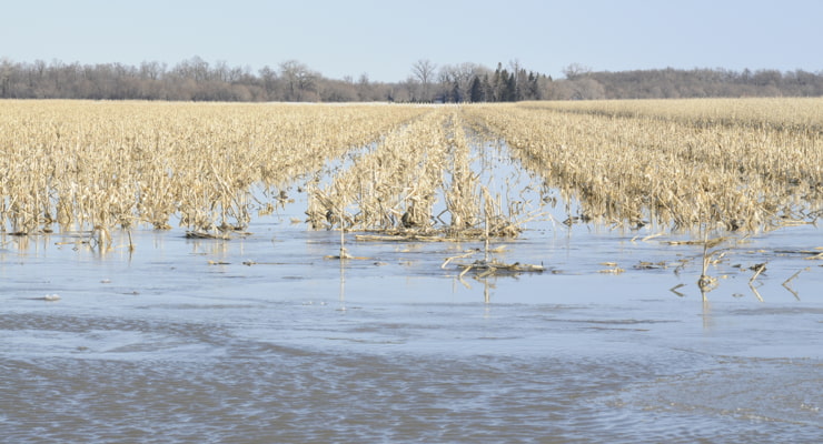 "Photo of flooding in an agricultural field"