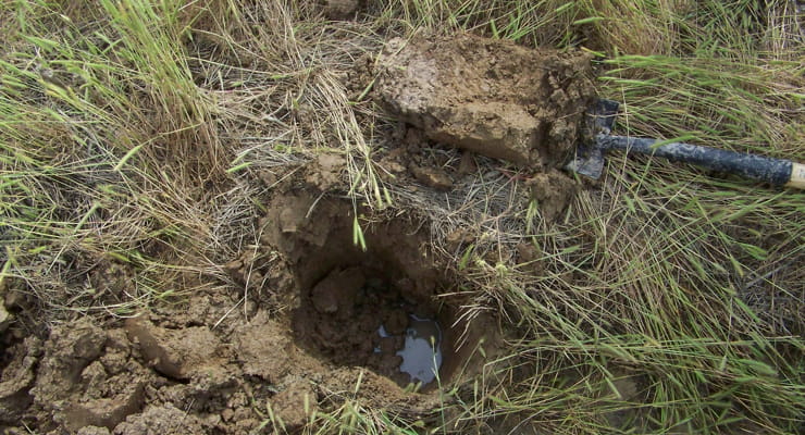 Photo of the soil saturated with water