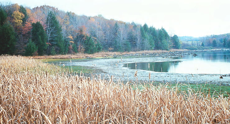 Photo of water depleted lake