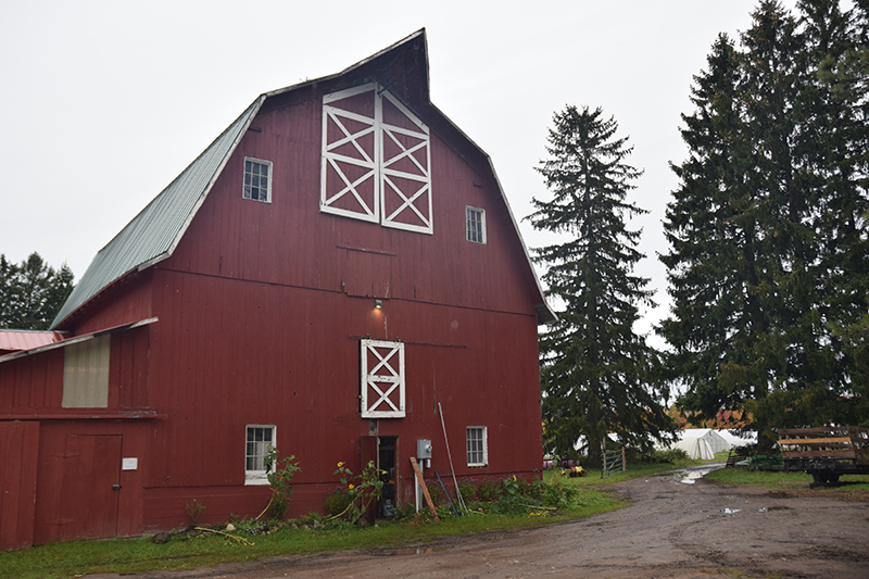 Joe would like to see the farm become a food hub for northern Michigan. 