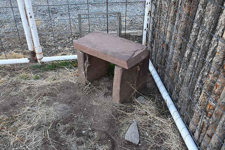 The red sandstone bench Tolani’s grandfather chiseled by hand. 