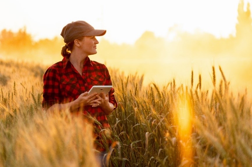 Female stand in field holding tablet looking into distance