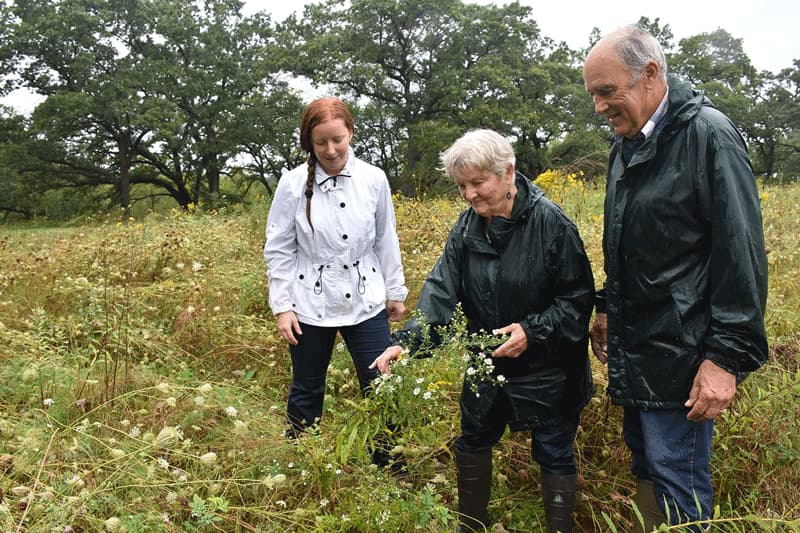 Three people in a field, looking for pollinators