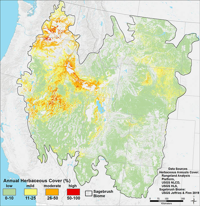 Map showing areas of cheatgrass in the western U.S.