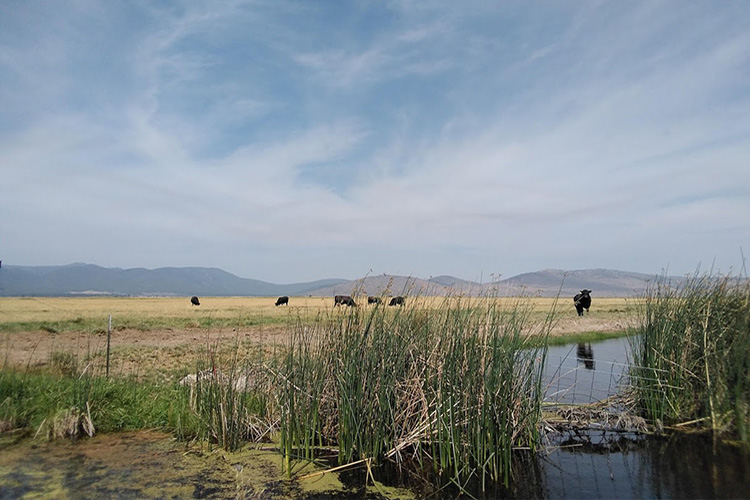 USDA offers a variety of funding opportunities to help farmers, ranchers and forest landowners finance their businesses. Photo Credit: Caleb Griffin, NRCS