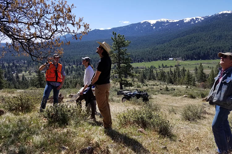 Anne and her team help clients develop conservation plans that protect natural resources while helping achieve operational goals. Above, Area Biologist Andrew Lee, Soil Conservationist Caleb Griffin, and Range Management Specialist Cody Mortell work with landowner Bob Andrews. Photo Credit: Anne Stephens, NRCS 