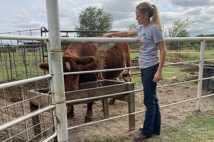 Julia feeds cattle.