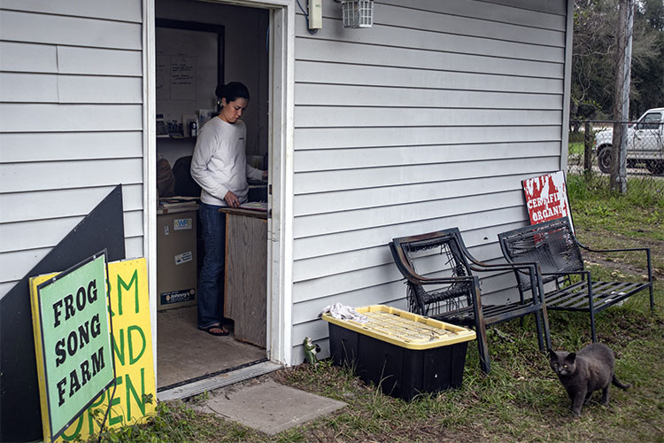 The couple founded Frog Song Organics on six acres in 2011. USDA Photo