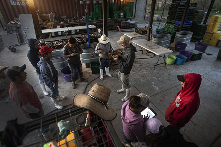 Each workday begins with a staff meeting. USDA Photo