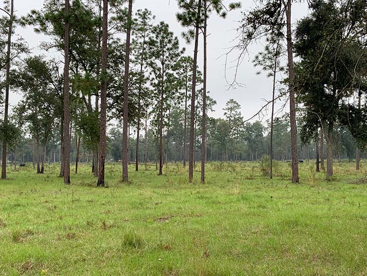 Emergency conservation programs help landowners clean up and restore their operations after disasters.