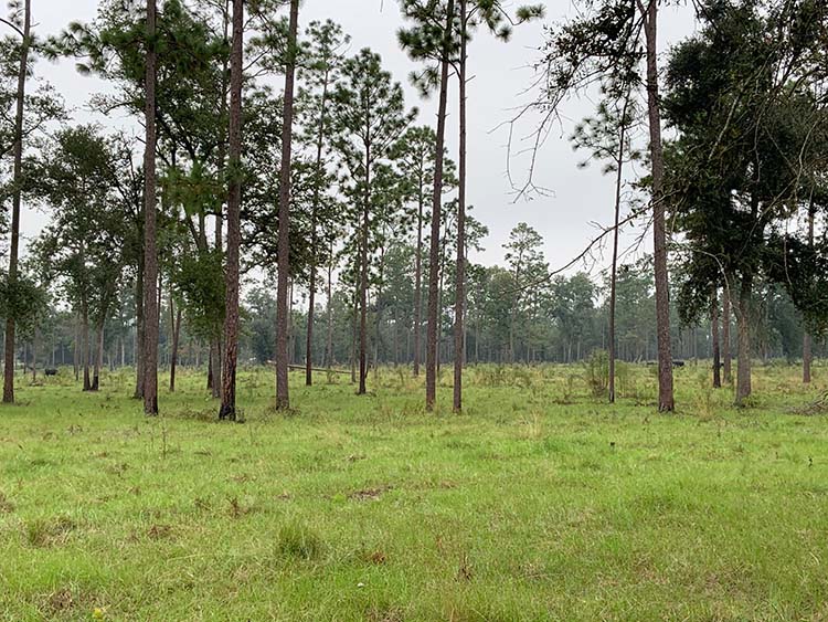 Emergency conservation programs help landowners clean up and restore their operations after disasters. 