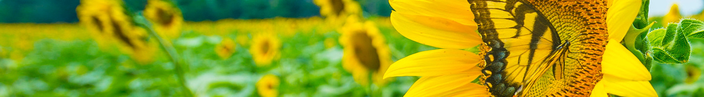 Conservation Resources for Farmers and Landowners