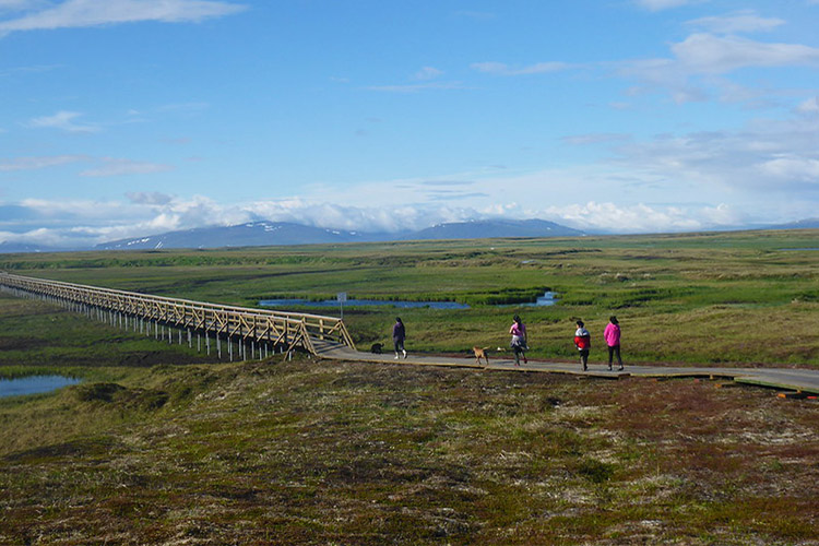 NRCS partnered with the Sea Lion Corporation to install trails in Hooper Bay. In addition to protecting the soil from erosion, this project also protected critical migratory bird habitat.
