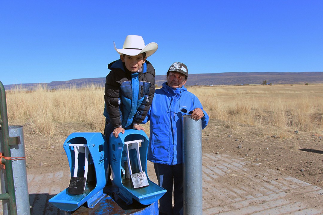 pumps for cattle