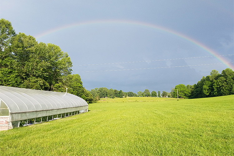 A rainbow shines over Glory Gardens and Greenhouse. 