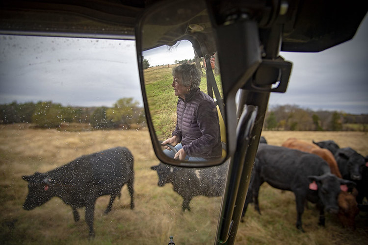 The “Cash Rents and Leases” survey is one of many surveys administered by USDA’s National Agricultural Statistics Service.