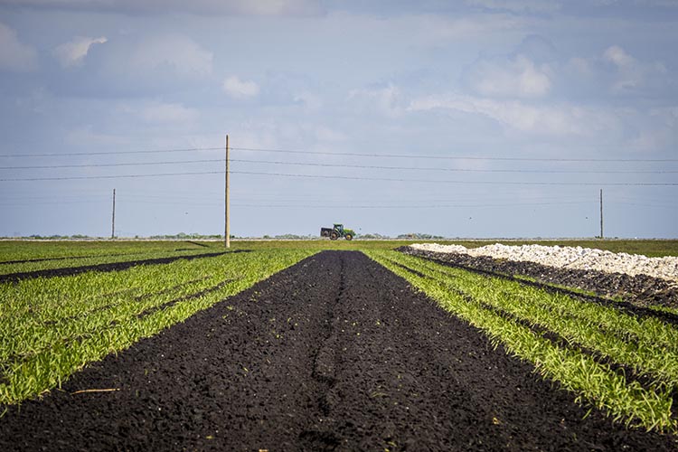 The American Rescue Plan provides historic debt relief to Black, Indigenous, Hispanic, and other farmers of color. USDA photo.