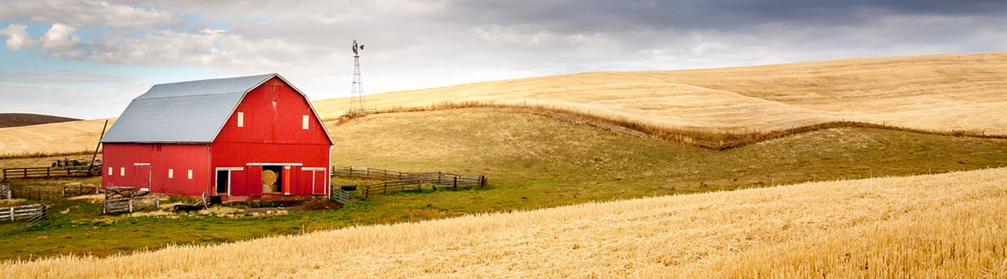 Coronavirus Food Assistance Program (CFAP) | Farmers.gov