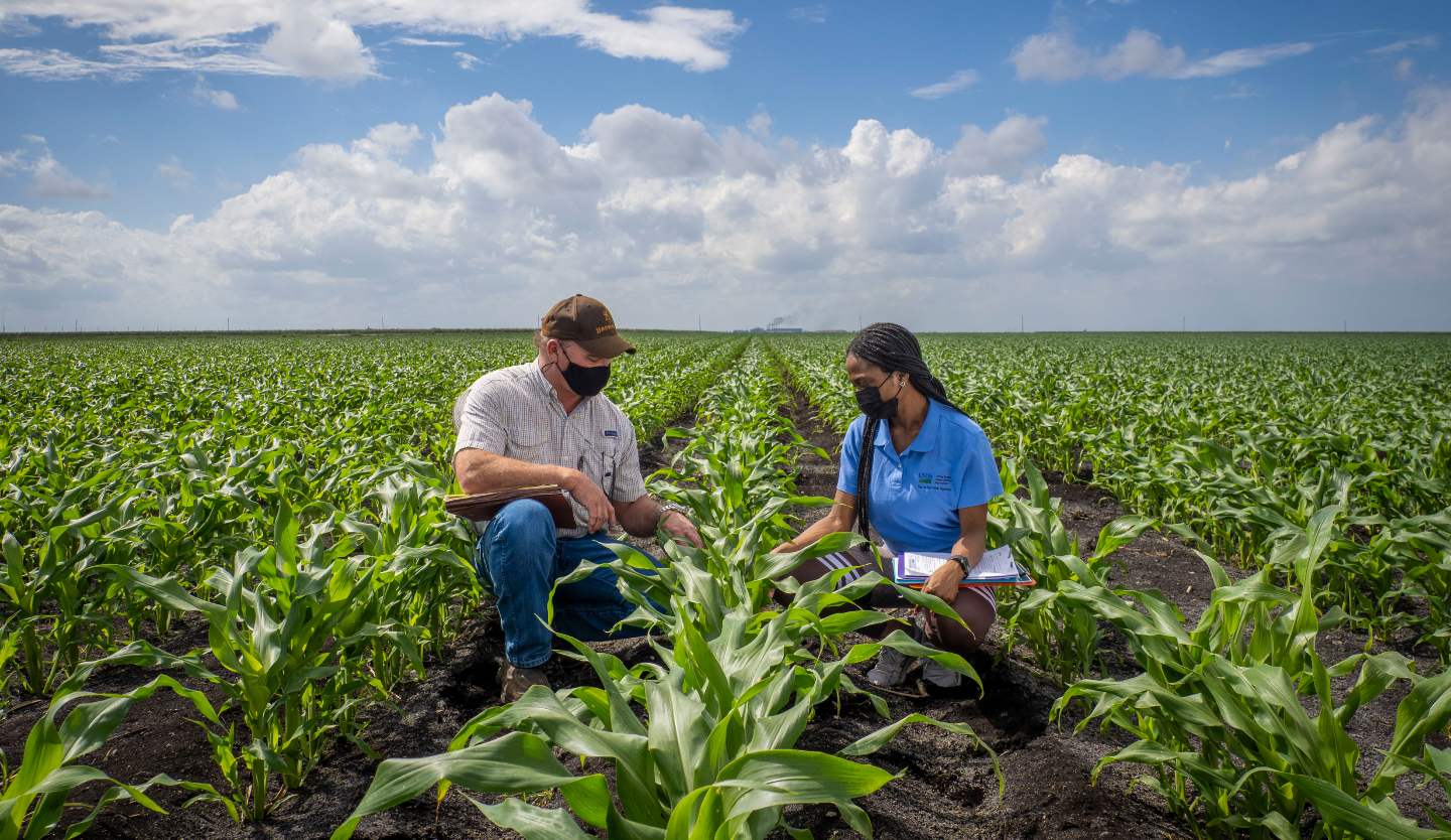 Beginning Farmers and Ranchers Farmers.gov
