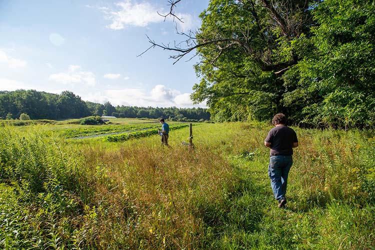 Greg purchased his farm in 1982. 