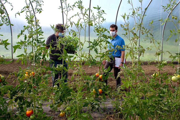 Greg implements a system of conservation practices with help from local staff at USDA’s Natural Resources Conservation Service.