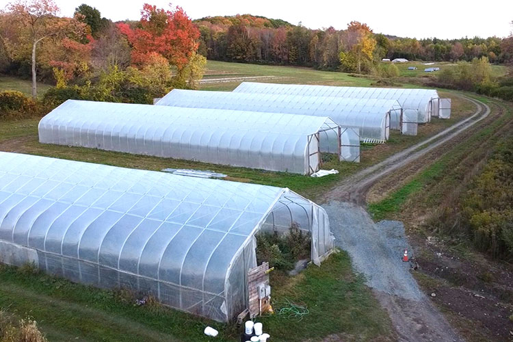 The four high tunnels on Boardman Hill Farm. 