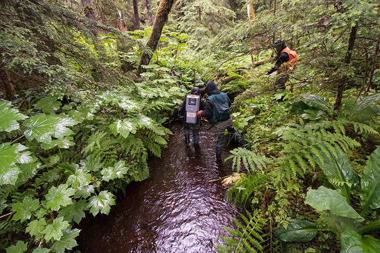 Crew members perform a stream assessment prior to the pandemic. Photo by Ian Johnson, Sustainable Southeast Partnership.