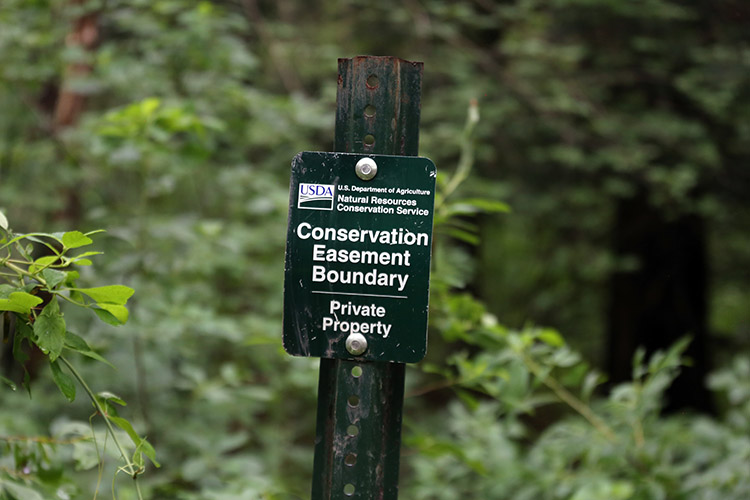 A sign on the woodland property of Patrick and Diane Luther states that this property is a USDA Conservation Easement, marking the easement boundary.
