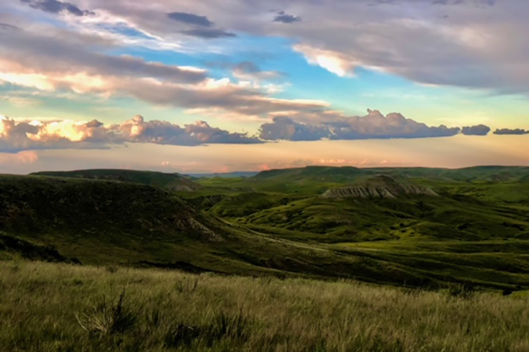 Desert Coulee Ranch in eastern Montana, by Tami Burke