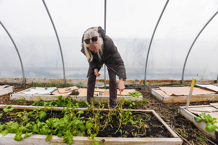 Growing never really stops at Unity Gardens, thanks to their four high tunnels that allow year-round growing. Photo by Brandon O'Connor, NRCS.