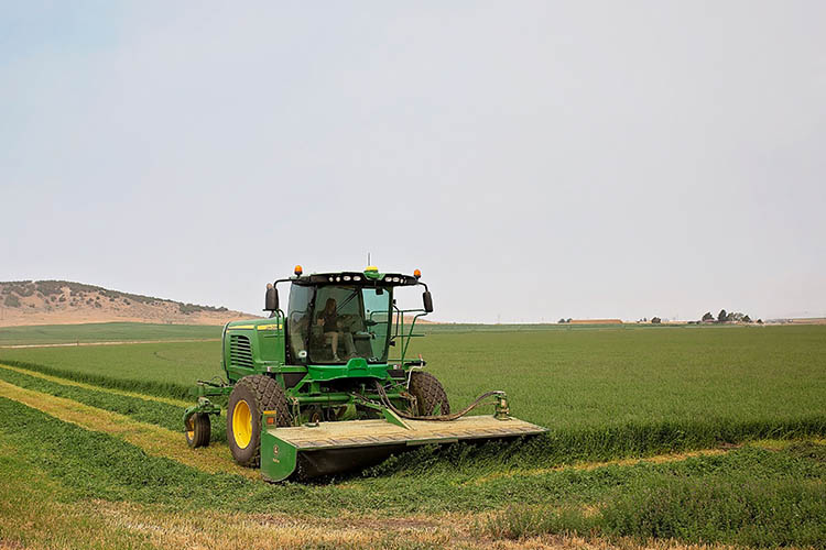 The Taylors farm 8,000 acres in southern Idaho raising a variety of crops and beef cattle, in addition to a custom farming operation. Photo by Tracy L. Hansen.