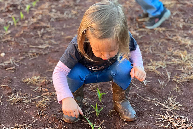 Small child bends down on farmland to check out the vegetation