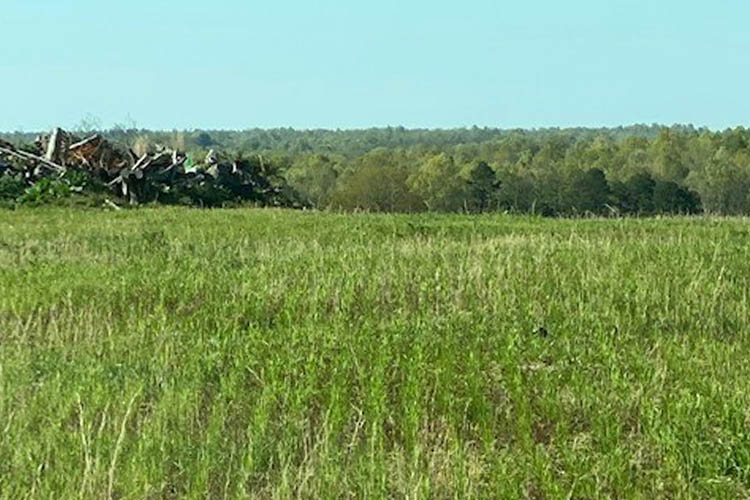 Landscape photo of rangeland