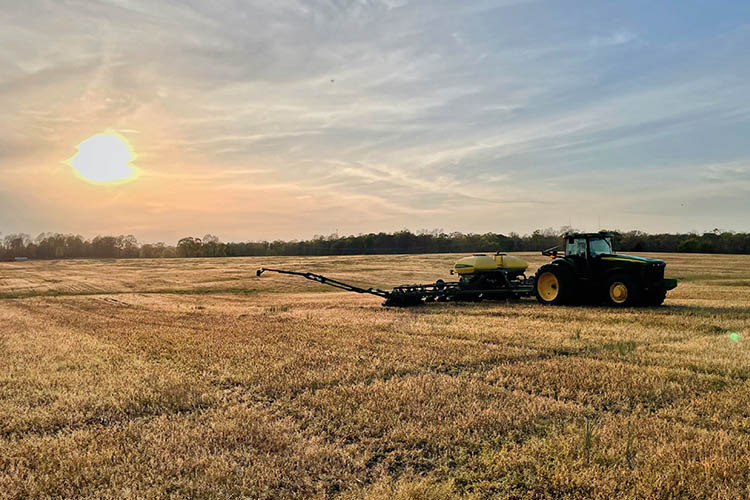 Large cornfield being planted