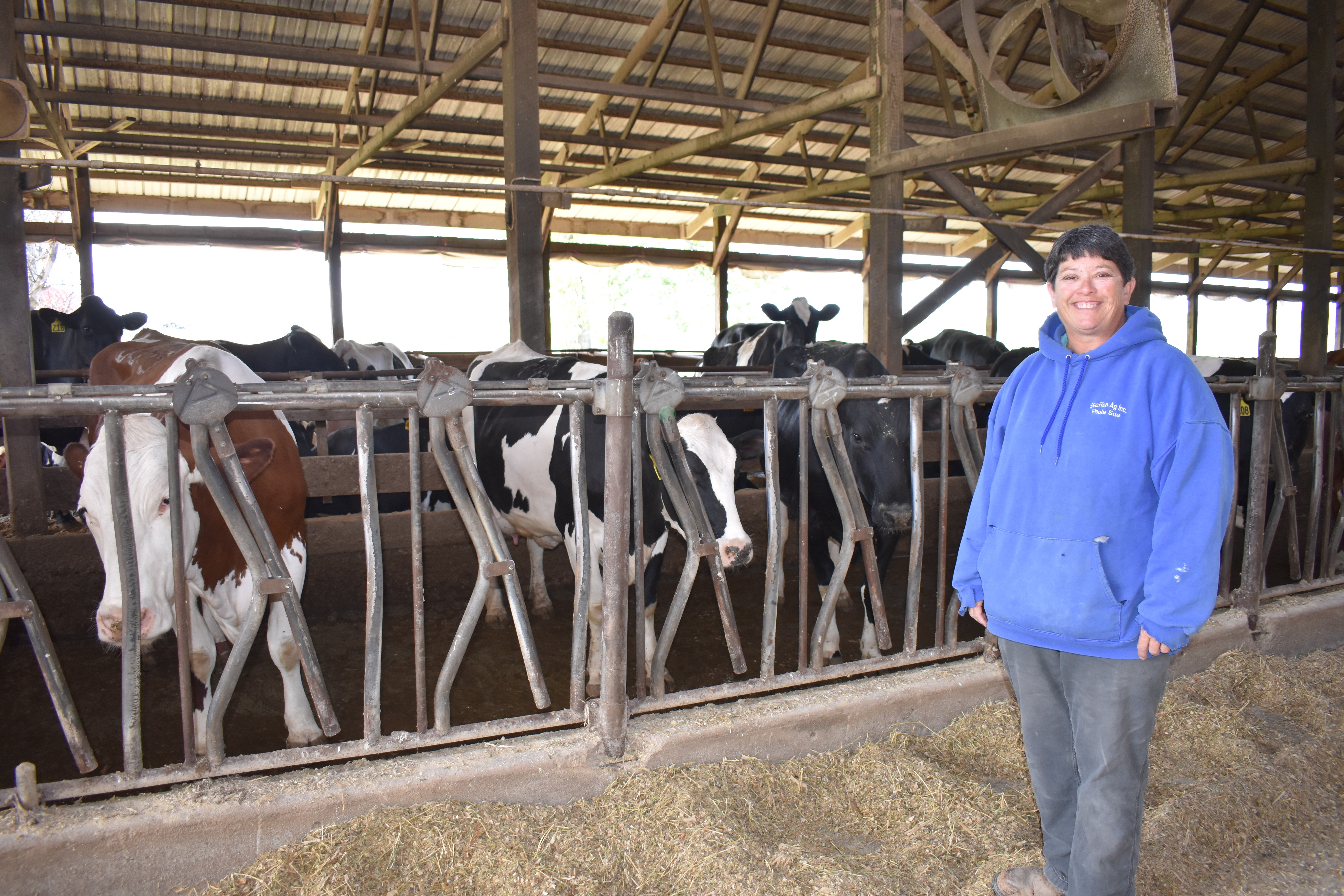 Paula Sue Steffen stands in front of cattle feeding in barn