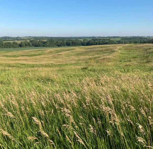 Open field with rolling hills