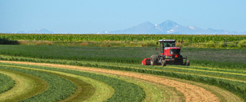 Tractor on field