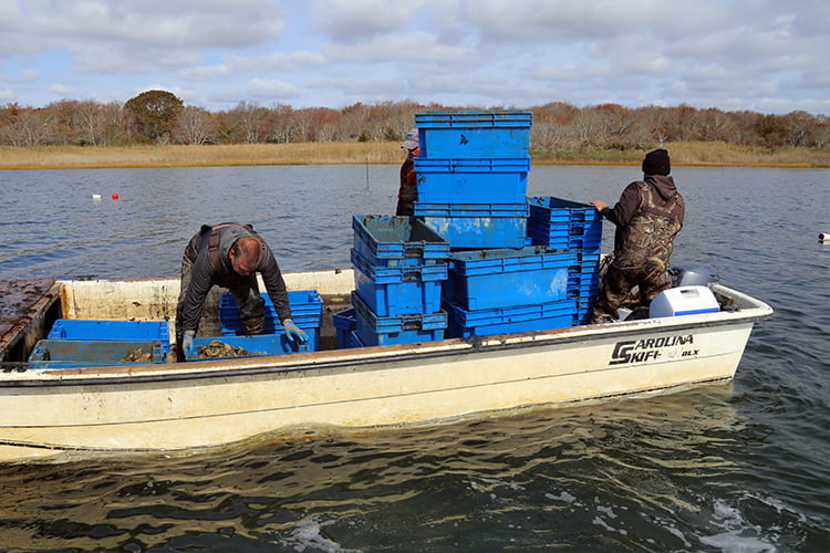 Blue plastic crates stacked in boat