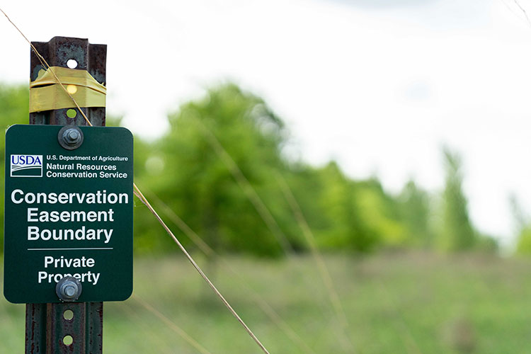 The Magura’s enrolled 200 acres in a wetland easement with NRCS. Photo by Brandon O’Connor, NRCS.