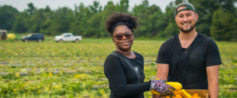 A woman and man picking vegetables in a field.