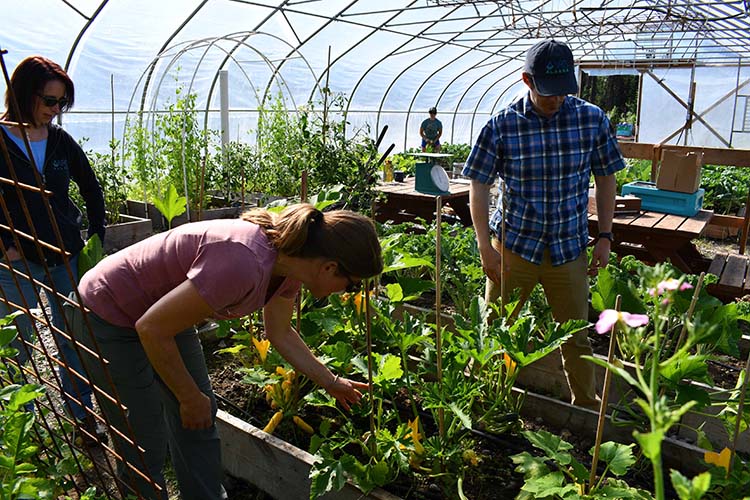 Kristy examines the soil in her raised beds, alongside NRCS staff Braden Pitcher and Michelle Jezeski. Photo by Tracy Robillard, NRCS. 