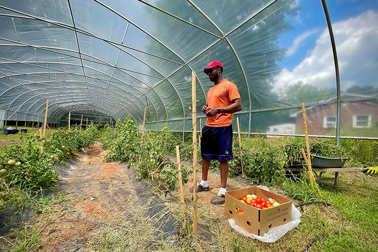 Preston started PHC Farms to support his community in Anderson County, South Carolina. Photo by Michael Mascari, NRCS.