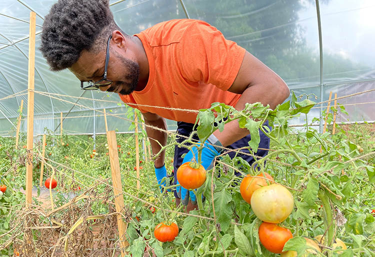 PHC Farms grew from Preston’s desire to build more than just a business. Photo by Michael Mascari, NRCS. 